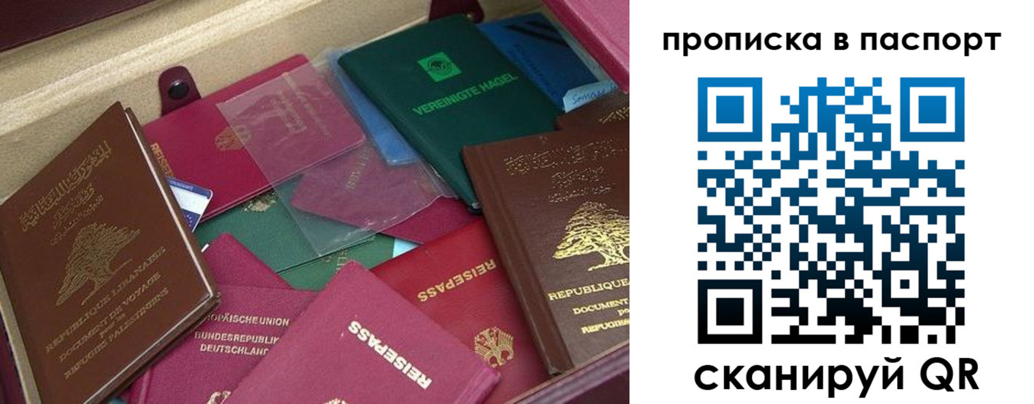 временная регистрация для школы в Копейске